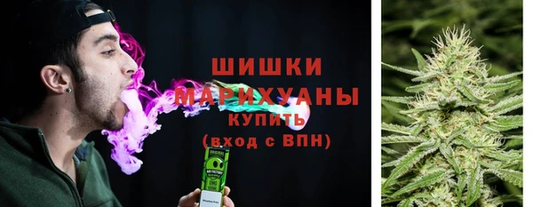 apvp Осташков