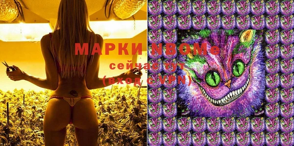 apvp Осташков