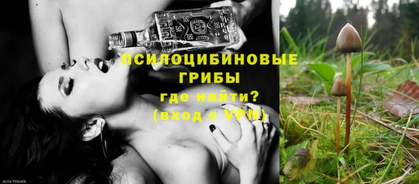 мескалин Новодвинск