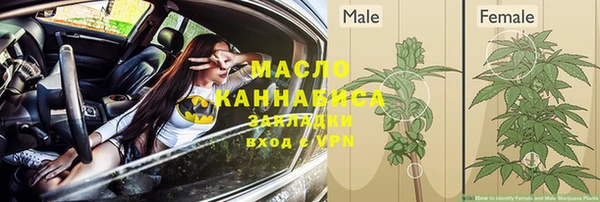 spice Няндома