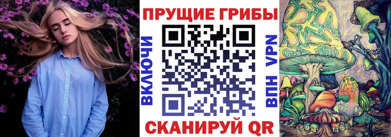 Галлюциногенные грибы GOLDEN TEACHER  нарко площадка формула  Рассказово 